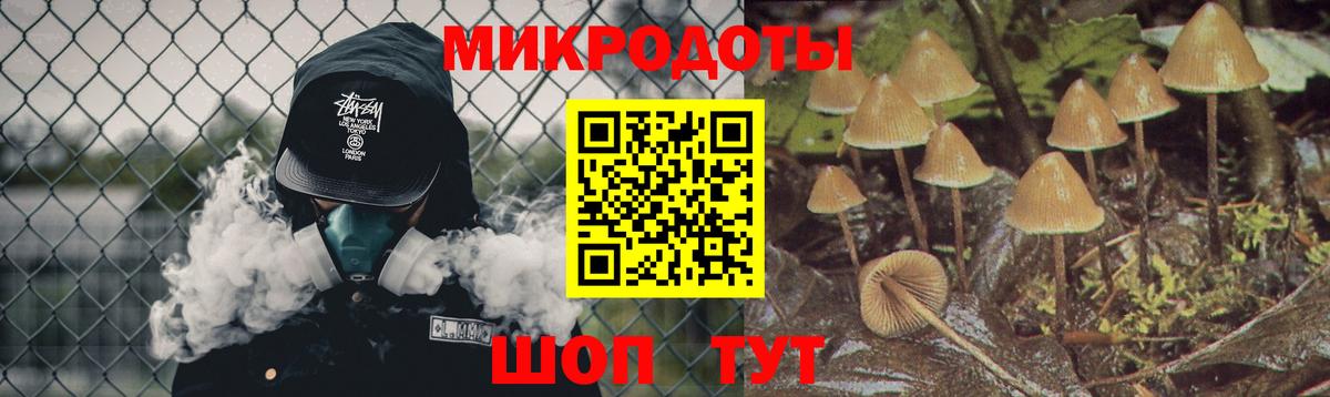 Галлюциногенные грибы прущие грибы Ульяновск